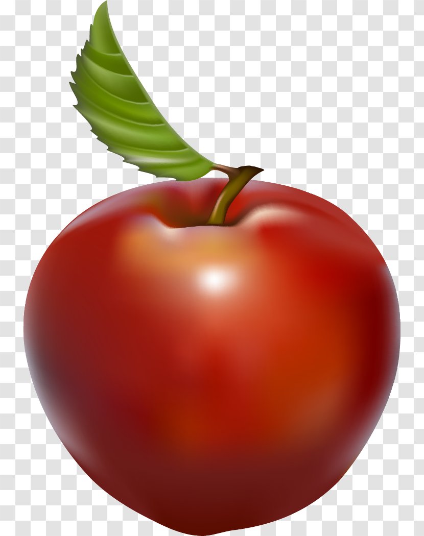 Tomato Watery Rose Apple Barbados Cherry - Acerola Family Transparent PNG