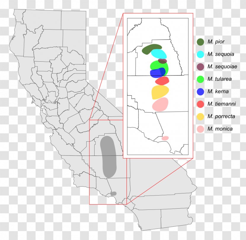 Motyxia Millipedes Genus Encyclopedia - Silhouette - Millepede Transparent PNG