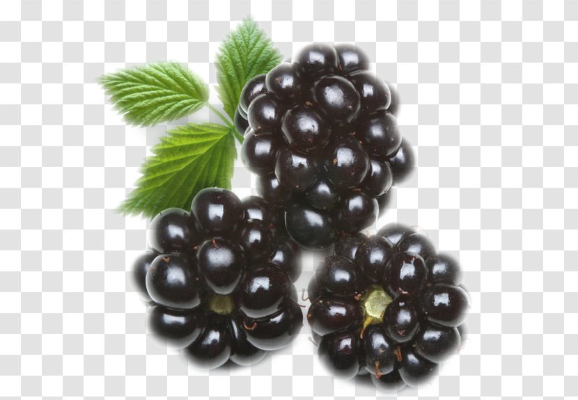 Blackberry Organic Food Gummi Candy Juice Dewberry - Strawberry Transparent PNG