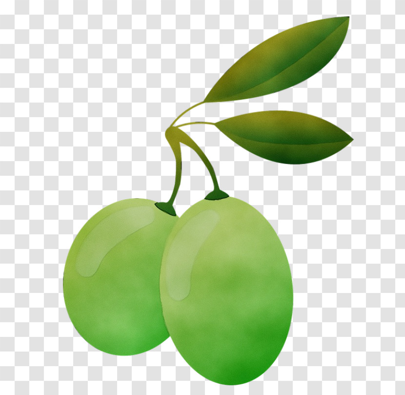 Green Leaf Plant Fruit Tree Transparent PNG