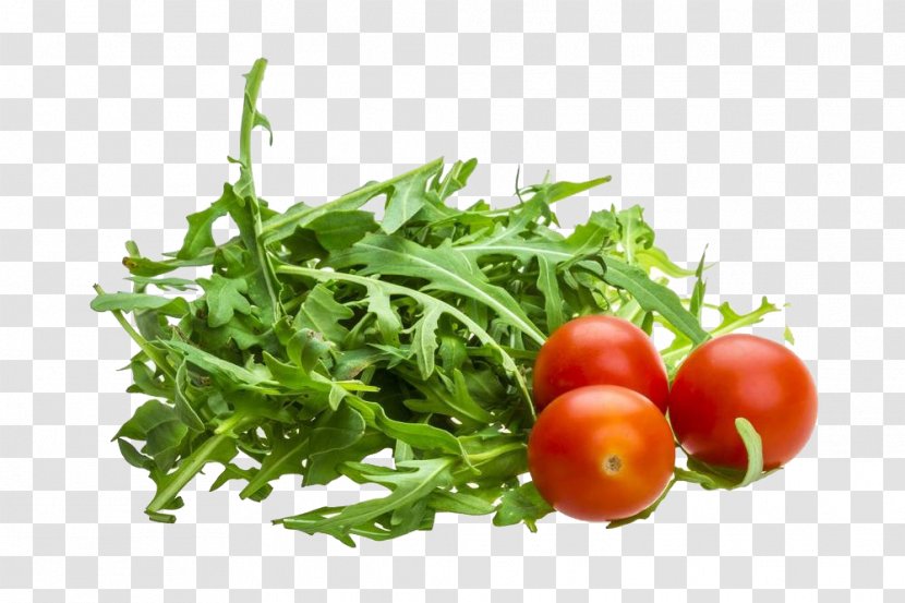 Arugula Stock Photography Rucola - Royaltyfree - Sesame And Tomato Transparent PNG