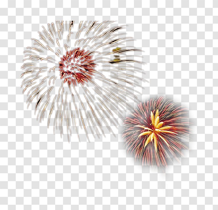 Fireworks Firecracker - Flower - Creative Pull The Bloom Of Free Transparent PNG