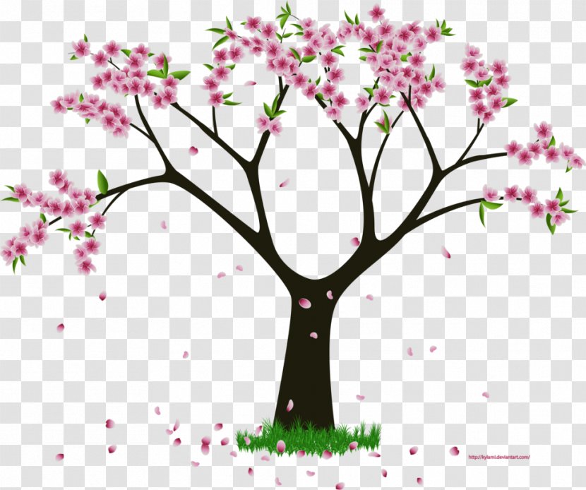 Flower Woody Plant Tree - Blossom - Peach Petals Transparent PNG