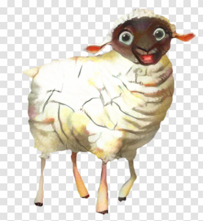 Ruth The Sheep Clip Art Illustration - Animal Transparent PNG