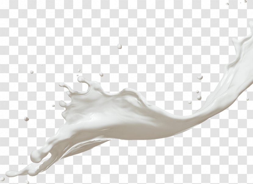 Coconut Milk Dairy Products Splash - Water Transparent PNG