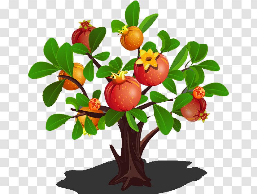 Pomegranate Tree Clip Art - Fruit Transparent PNG