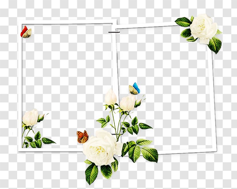 Drawing Of Family - Plant - Rectangle Cut Flowers Transparent PNG