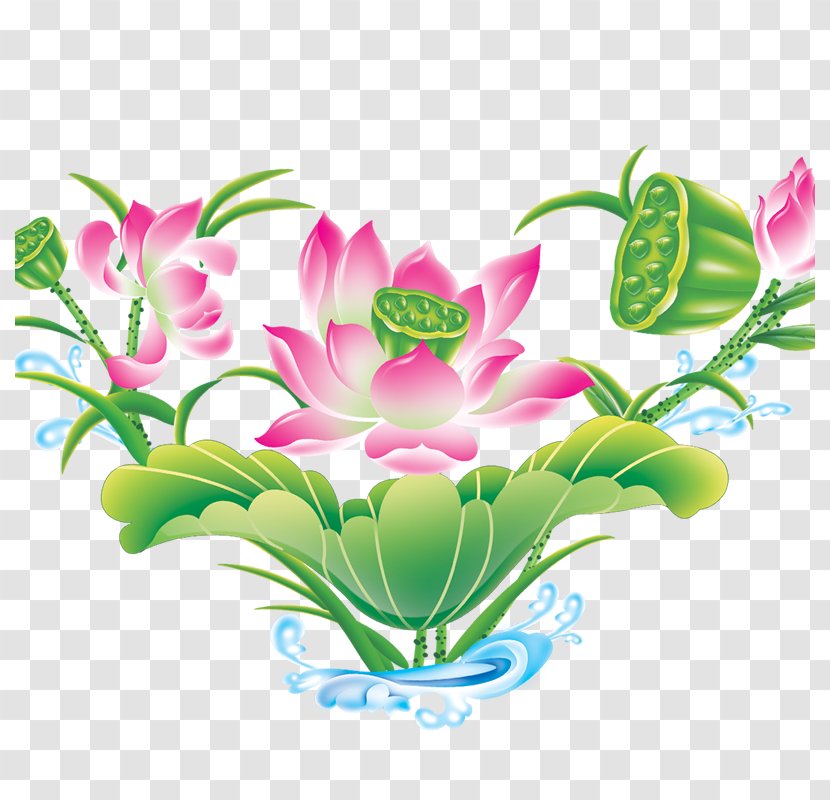 Flower Download Clip Art - Petal - Creative Flower,Lotus Transparent PNG