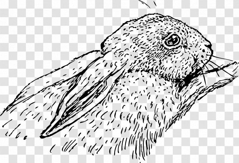 Hare Domestic Rabbit Holland Lop Clip Art - Vertebrate Transparent PNG