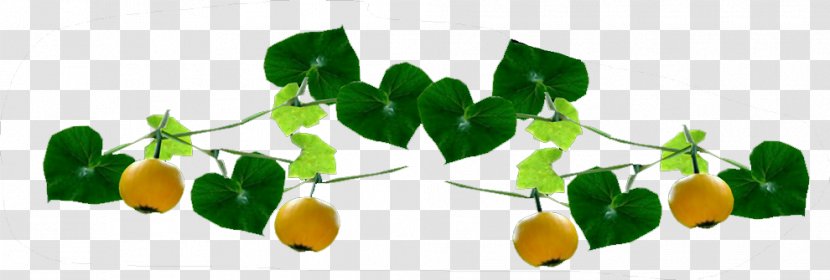 Lemon Pear Food Fruit - Vegetable Transparent PNG