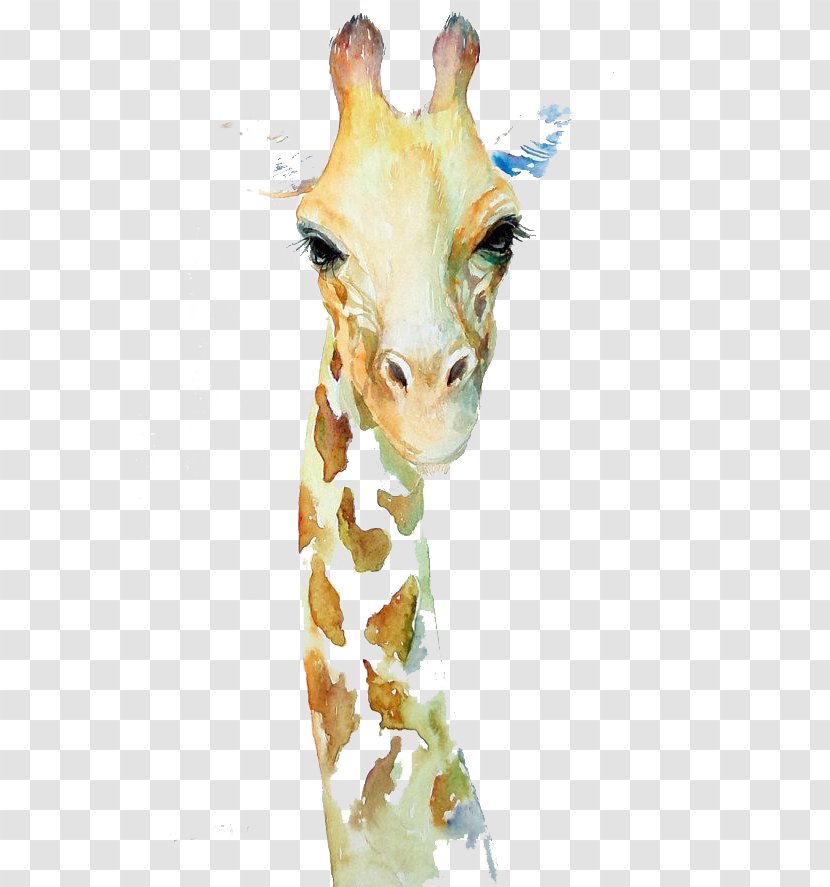Northern Giraffe Watercolor Painting Art Drawing - Giraffidae - Cute Transparent PNG