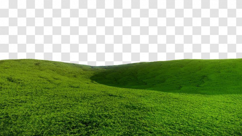 Lawn Grassland Ecosystem Green Wallpaper - Sky - Field Pic Transparent PNG