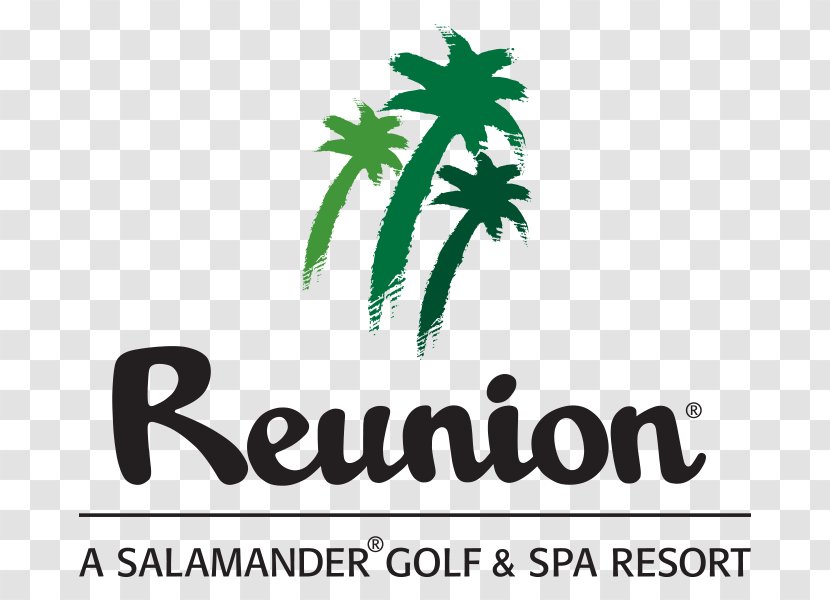 Reunion, Florida Walt Disney World Orlando Reunion Resort - Brand - Golf Stick Transparent PNG