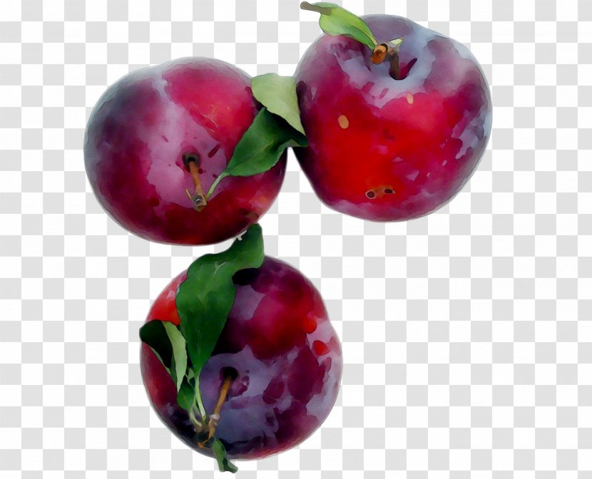 Barbados Cherry Cranberry Lingonberry Food Fruit - Accessory - Superfruit Transparent PNG