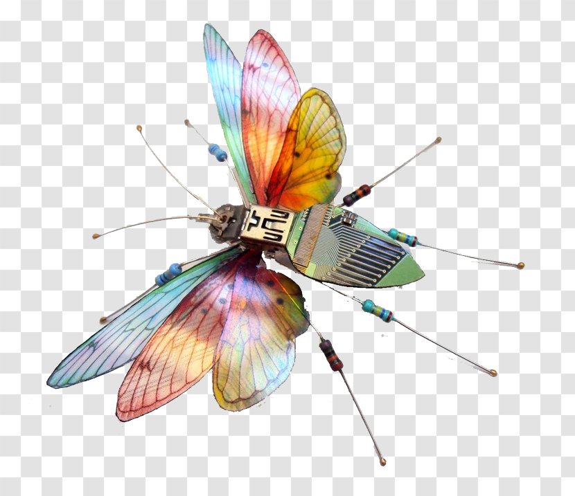 Insect Printed Circuit Board Electronic Electronics Computer Hardware - Pest - Cartoon Color Dragonfly Transparent PNG