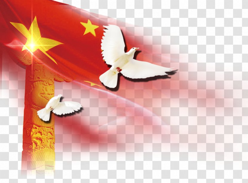 Download Column Huabiao Icon - Text - Red Wings Of A Dove Transparent PNG