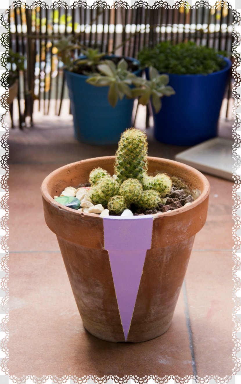 Flowerpot Citroën Cactus M Houseplant Herb - Potted Transparent PNG