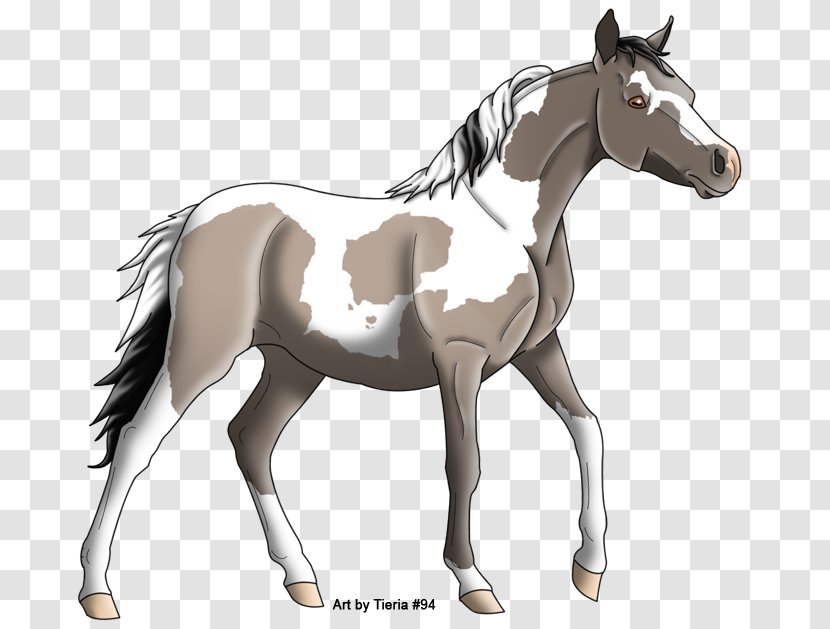 Mule Foal Stallion Colt Mare - Halter - Mustang Transparent PNG