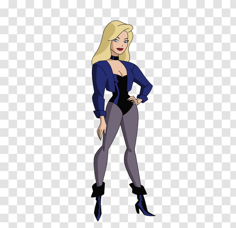 Black Canary Justice League Unlimited Green Arrow Zatanna Huntress - Tree - Cosplay Transparent PNG