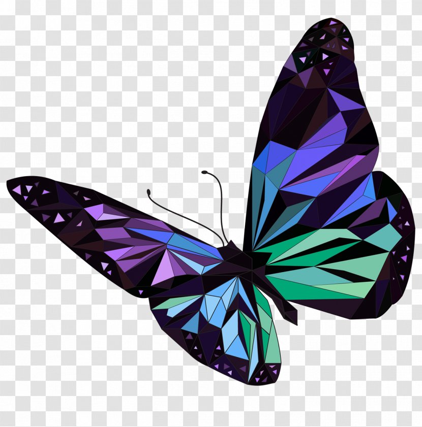 Butterfly Stock Photography Image Royalty-free - Digital Transparent PNG