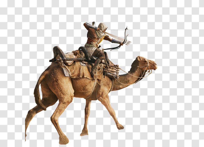 Assassin's Creed: Origins Ubisoft Game Assassins Denuvo - Arabian Camel - Figurine Creed Transparent PNG