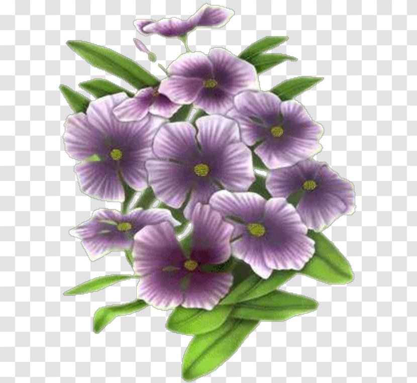 Pansy Flower Animation Blue Rose - Video - Yb Transparent PNG
