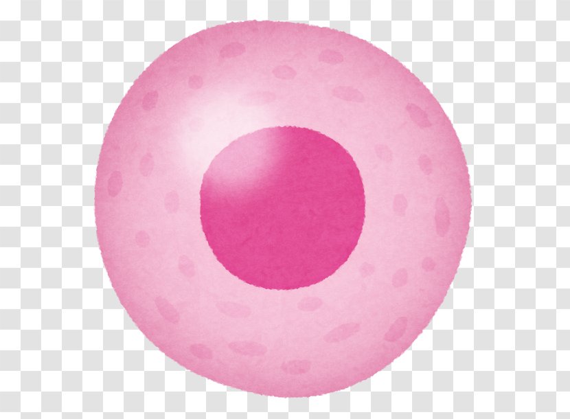 Pink M - Body Cell Transparent PNG