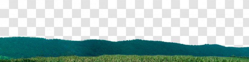Biome Grassland Ecoregion Desktop Wallpaper Crop - Pasture - Corn Field Transparent PNG