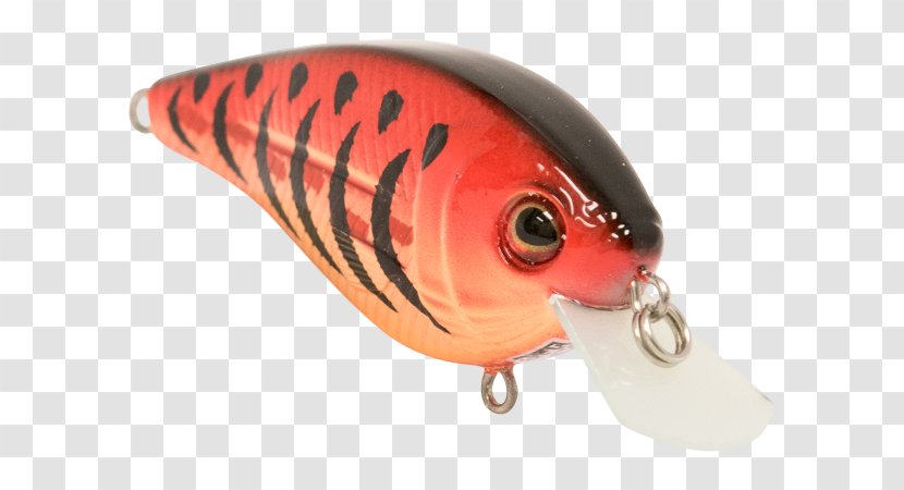 Spoon Lure Perch Fish AC Power Plugs And Sockets - Orange - Northern Pike Transparent PNG