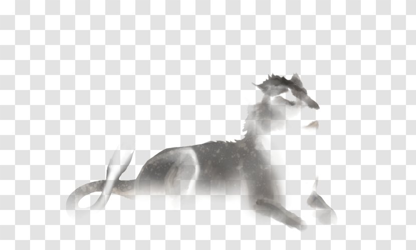 Whiskers Gray Wolf Lion Cat True Foxes - Wildlife Transparent PNG