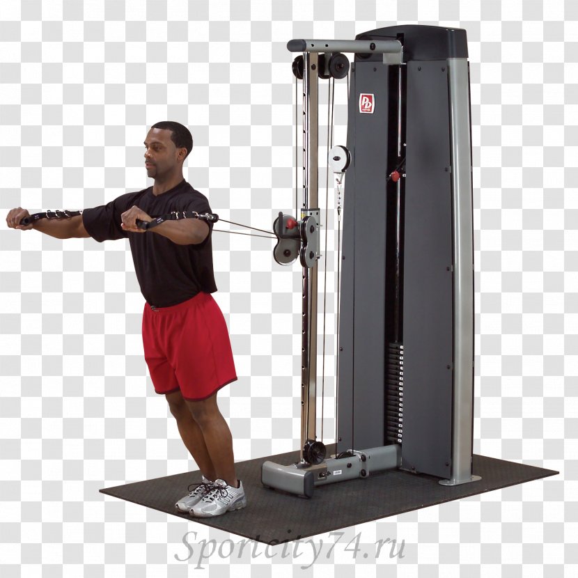Exercise Cable Machine Human Back Body - Fitness Equipment Transparent PNG