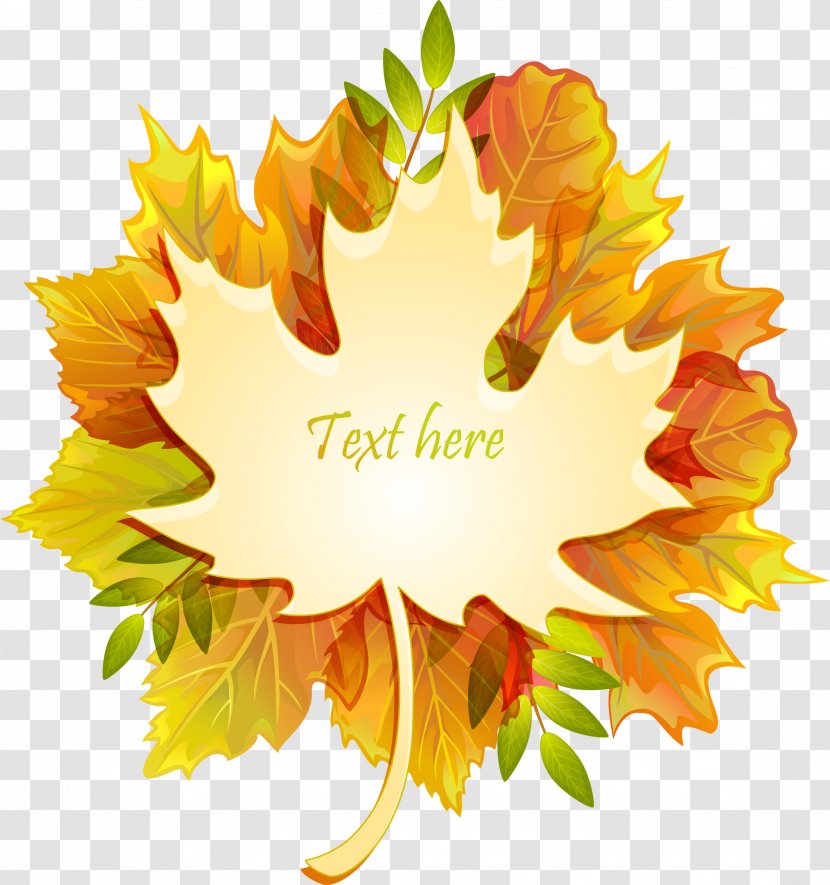 Autumn Leaf Color Maple - Red - Leaves Background Transparent PNG