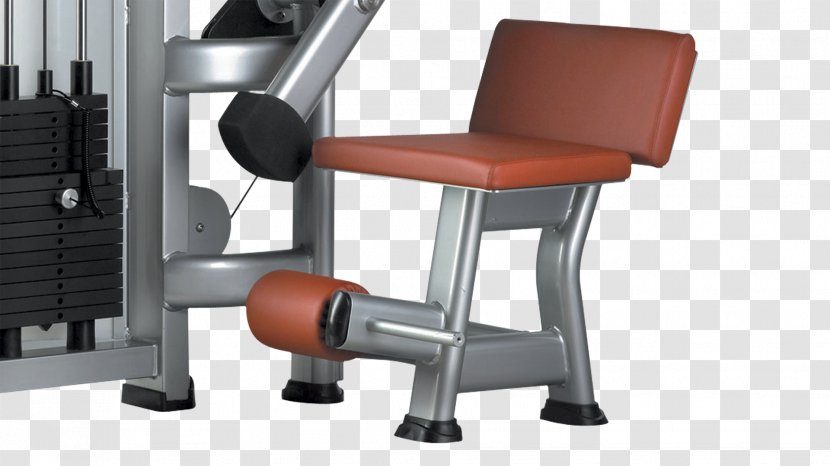 Crunch Bodybuilding Physical Fitness Centre Weight Training - Chair - Abdominal Movement Transparent PNG