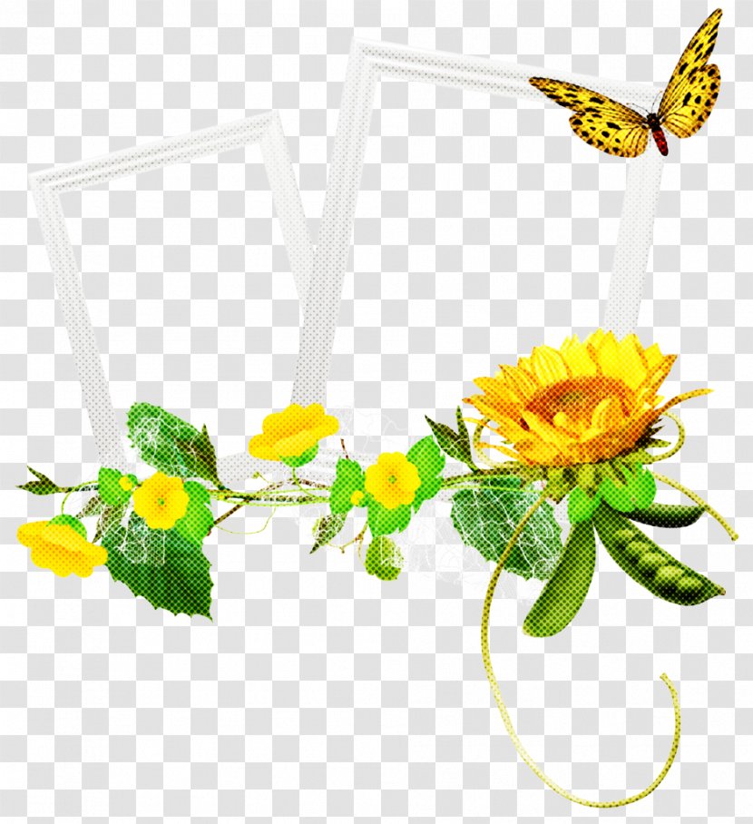 Watercolor Butterfly Background - Yellow - Moths And Butterflies Wildflower Transparent PNG