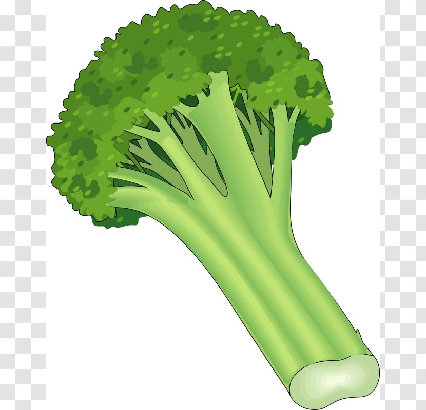 Leaf Vegetable Carrot Fruit Clip Art - Broccoli - Cliparts Transparent PNG