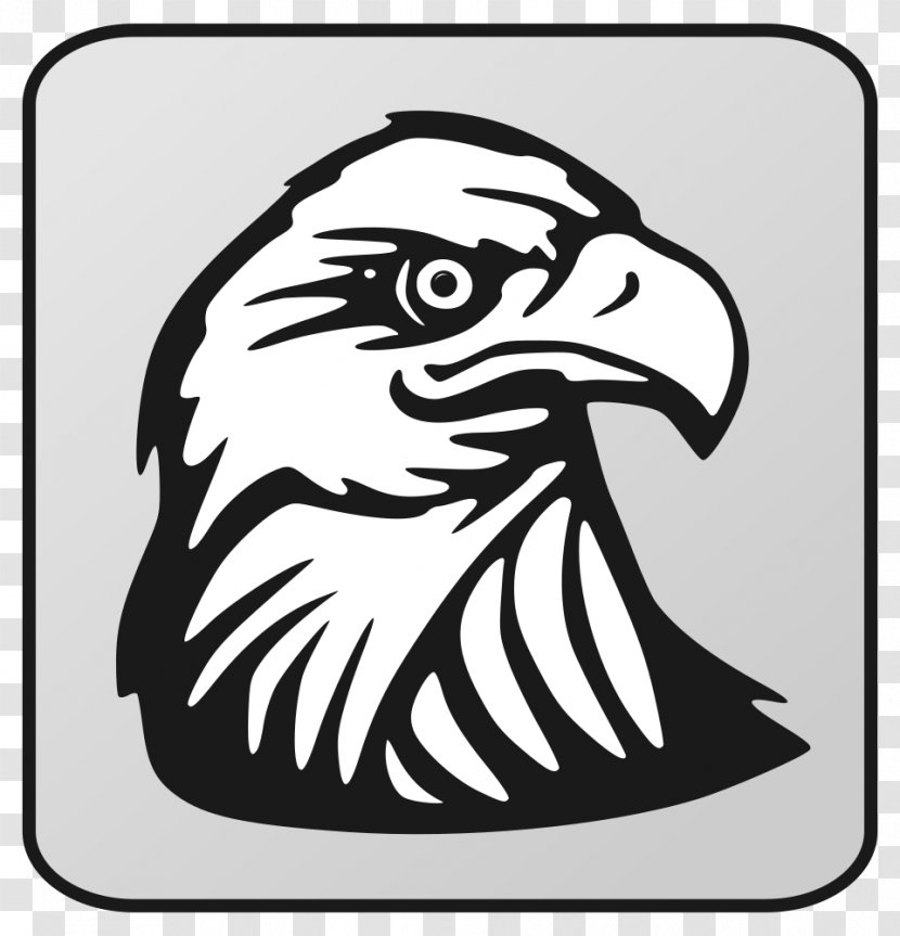 Bald Eagle Golden Clip Art - Monochrome Photography - Head Transparent PNG