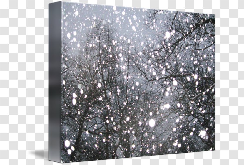 Tree White Pattern - Stock Photography Transparent PNG