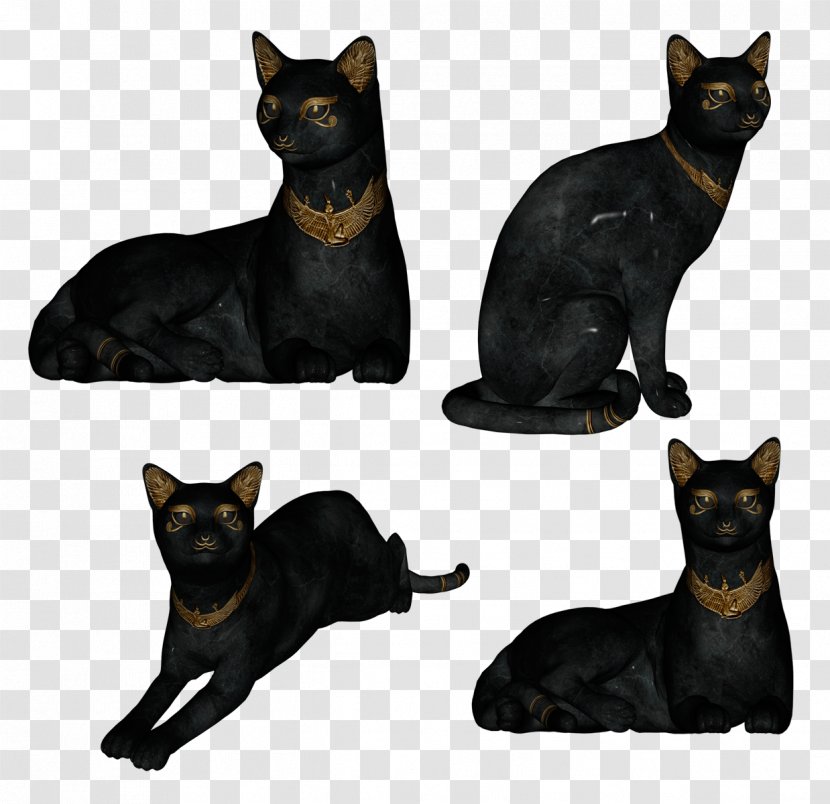 Bombay Cat Black Havana Brown Domestic Short-haired Sphynx - Like Mammal - Kitten Transparent PNG
