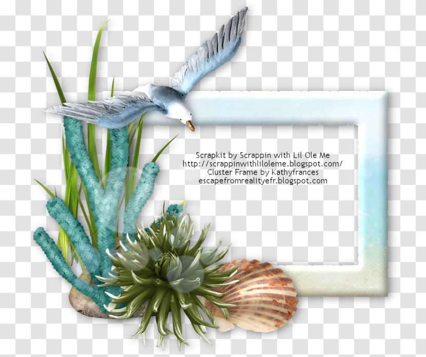 Majorelle Garden Blue Flowering Plant - Kathy Transparent PNG