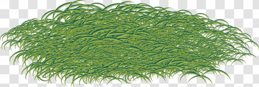 Lawn Ryegrass Herbaceous Plant Advertising Painting Transparent PNG