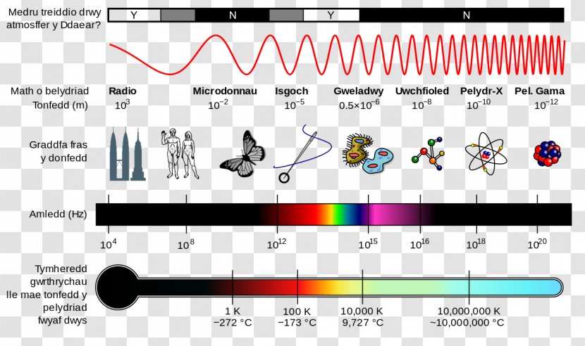 Light Electromagnetic Spectrum Radiation Wave Electromagnetism - Flower Transparent PNG