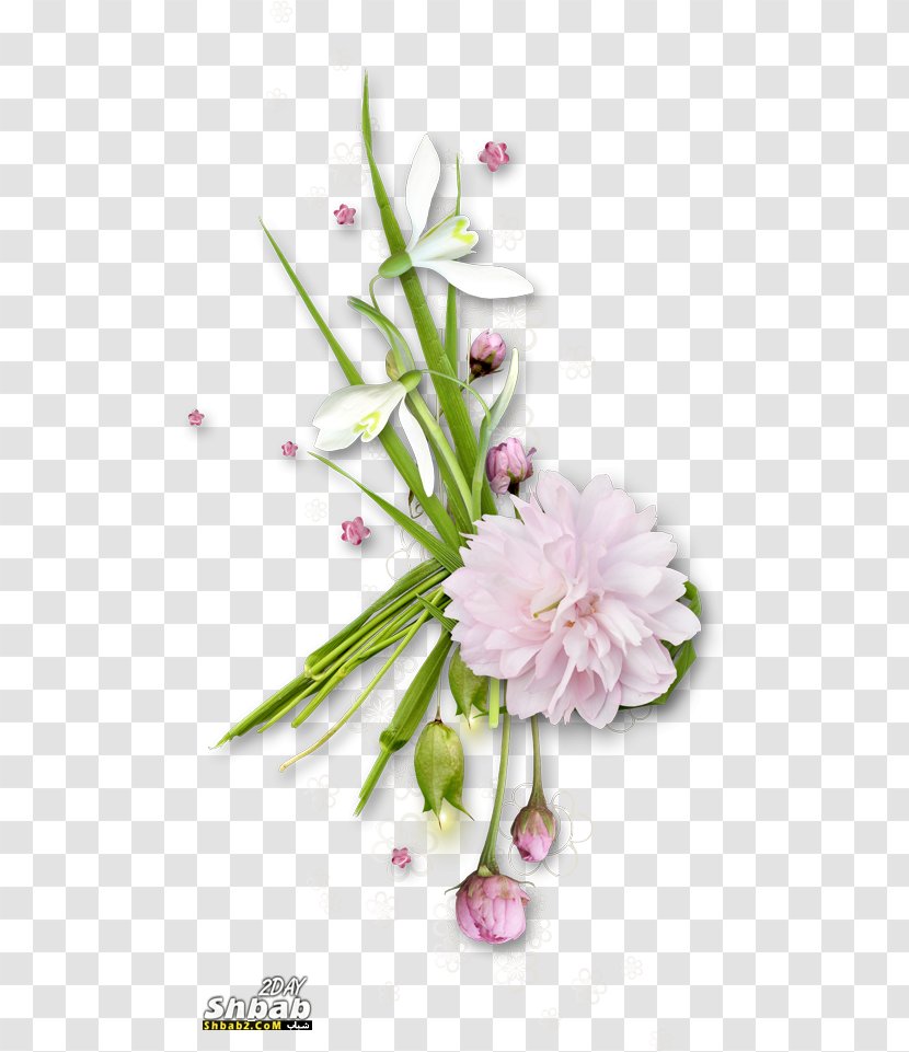 Flower Photography Clip Art - Arranging - Lovely Vertical Borders Transparent PNG