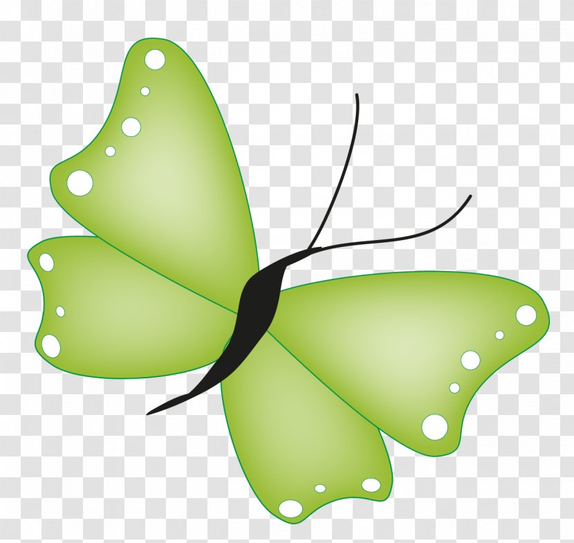 Monarch Butterfly Email Signature Block Clip Art - Flower Transparent PNG