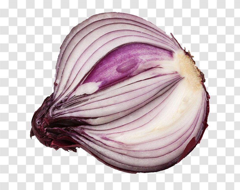 Shallot Vegetable Potato Onion Red Vegetarian Cuisine - Purple Transparent PNG