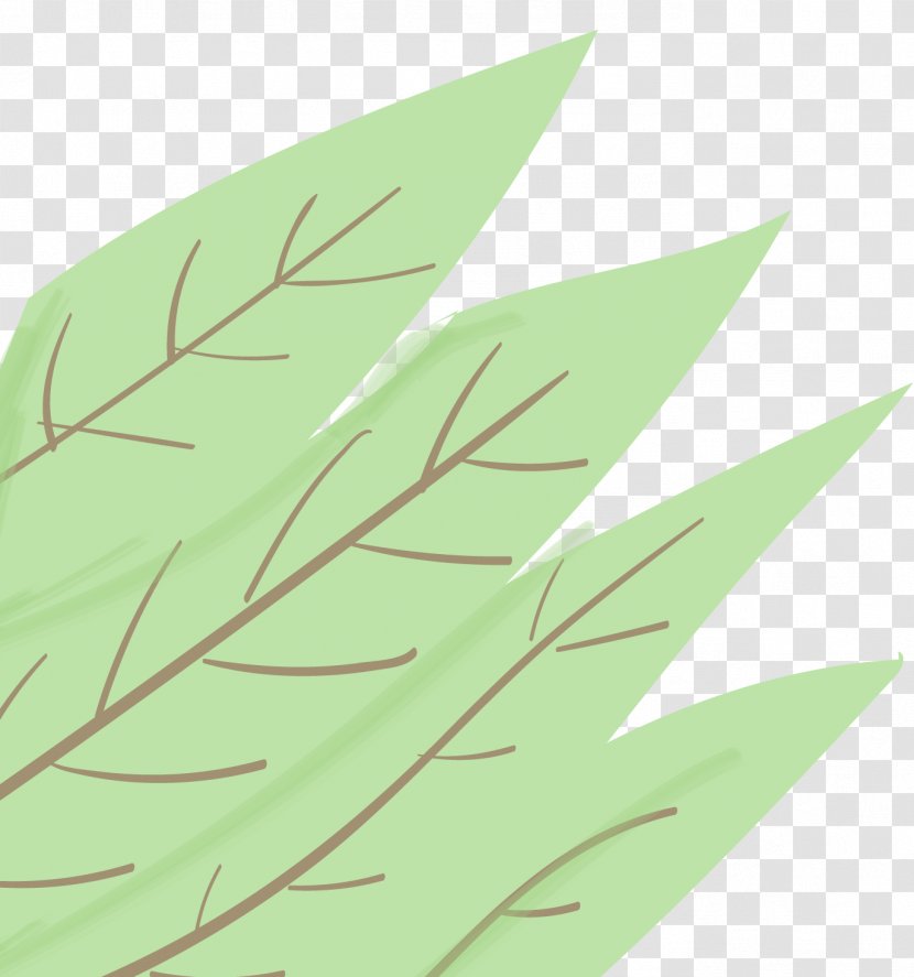 Family Tree Background - Grasses - Twig Vascular Plant Transparent PNG