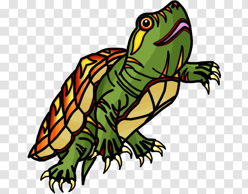 Toad True Frog Tree Turtle - Fauna Transparent PNG