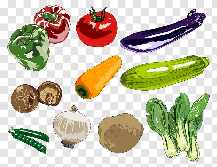 Food Drawing Digital Painting Art - Fruit - Vegetable Transparent PNG