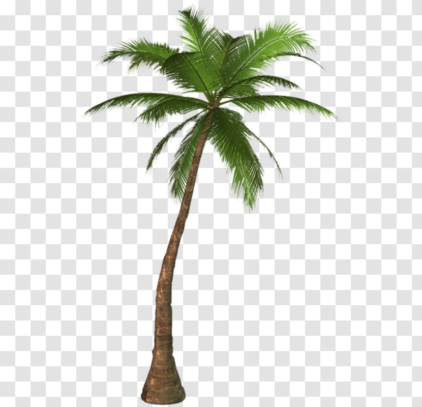 Clip Art Palm Trees Image - California - شجرة Transparent PNG