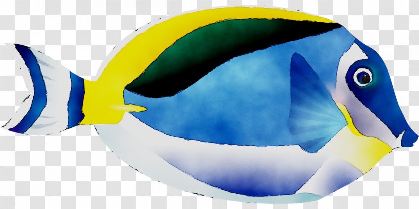 Desktop Wallpaper Product Design Graphics Computer - Blue - Fish Transparent PNG