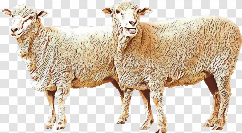Goat Sheep Algarve Churro Livestock Sheep Milk Transparent PNG
